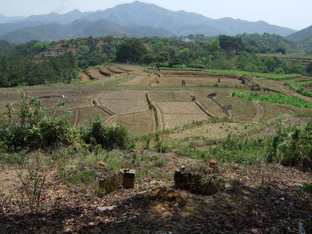 ming tong.jpg